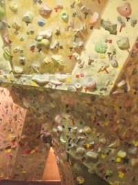 初体験 2010/01/15 16:54:15