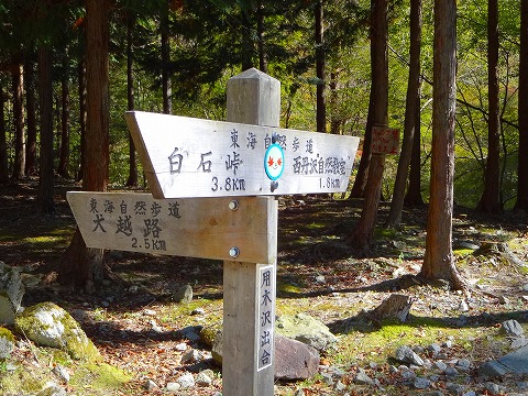 オプショナル登山は檜洞丸で