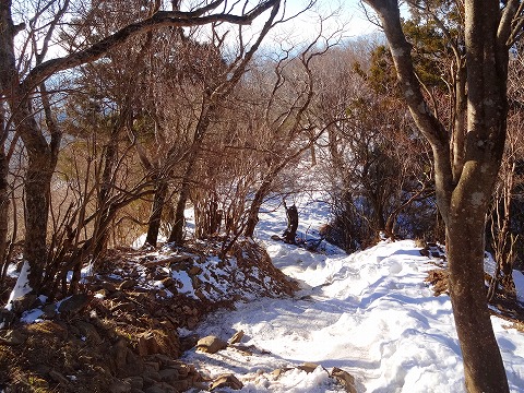 残雪の丹沢、大山と岳ノ台。