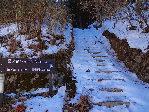 残雪の丹沢、大山と岳ノ台。