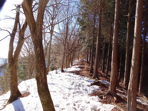 残雪の丹沢、大山と岳ノ台。