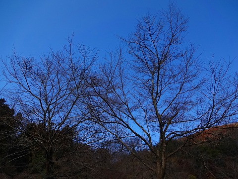 青根で自堕落キャンプ