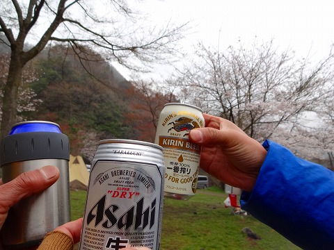 吉例　お花見キャンプ　2013