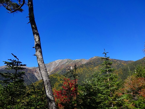 秋晴れの荒川三山～赤石岳　その１