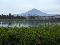 11/3・9日　東山湖フィッシングエリア