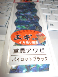 あわびデビュー”