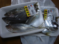 今日行くぞ～εεεεεεεヾ(*´ー`)ノ