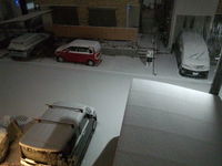 雪化粧 2013/01/27 22:00:00