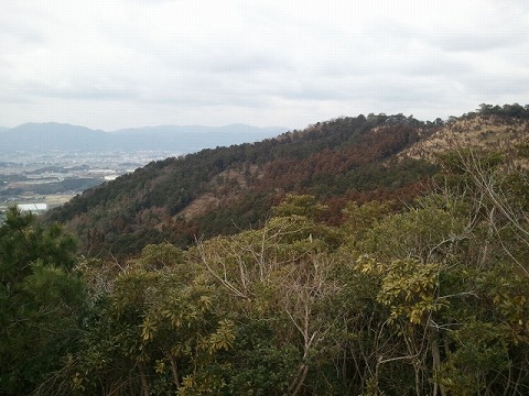 関の山