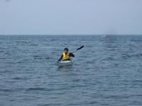 昨日は、久々の長浜へ 2009/04/05 21:01:39
