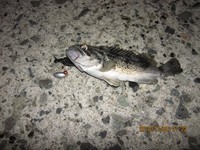 小物ばかり