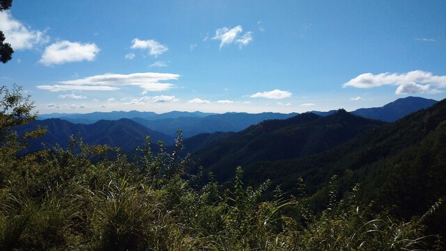 大台のトレイル