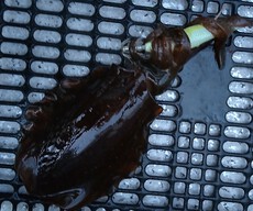 釣り（５２：６）アオリん６　ﾈｵﾝﾌﾞﾗｲﾄ紫、ﾖｰｽﾞﾘ逝く 2024/09/28 18:00:00