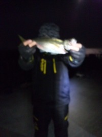 海一(仮)GP第一戦 2012/02/12 15:12:51