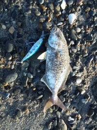 表浜。。。 2012/07/08 11:59:11