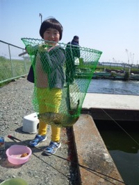 釣り堀。。。 2013/04/29 21:29:46