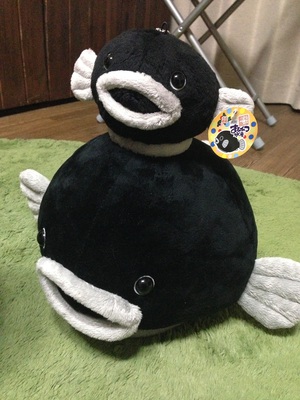 北海道魚類釣査センター ごっこ