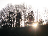 2014年1月1日　おとそ気分で高川山へ。。。 2014/01/01 15:19:12