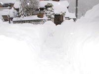 2014/2/17　記録的大雪です。。。 2014/02/17 07:49:42