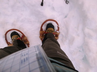 2014/2/11　ちょっとお山歩。 2014/02/11 17:35:18