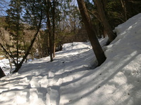 2014/3/6  雪の九鬼山お山歩 2014/03/06 17:49:46
