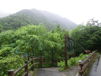 2014/6/29　キタダケソウを見てきました。 2014/06/30 12:44:01