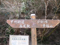 2014/3/23  　　　 影信山から高尾山 2014/03/24 11:23:52
