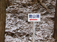 2014/2/6　ちょっと山歩、猿焼山 2014/02/07 08:47:47