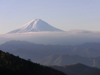 写真を撮りにチョコッと小金沢山まで山歩 2013/12/08 14:12:09