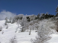 2014/3/21　大菩薩ってきました。 2014/03/21 20:35:17