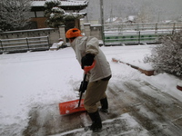 大雪になりそうです。。。 2014/02/08 09:39:43
