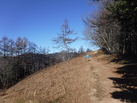 ２０１７／１１／１２　七ツ石山～雲取山