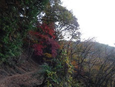 ２０１７／１１／１２　七ツ石山～雲取山 2017/11/13 11:52:13