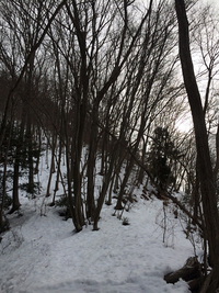 2016/1/24　植野山から札金峠 2016/01/25 07:43:15