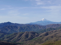 2015/5/3　笠取山　山歩 2015/05/05 06:40:11