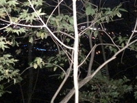 堀山で忘年会 2014/12/08 10:17:57