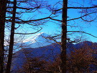 2015/2/1   大石峠から節刀ヶ岳 2015/02/01 15:29:15