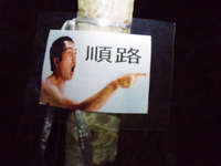2015/5/17　八ヶ岳山歩（九十九草に会いに行く） 2015/05/18 08:41:36