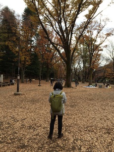 井の頭公園で散歩 2016/11/28 07:08:58