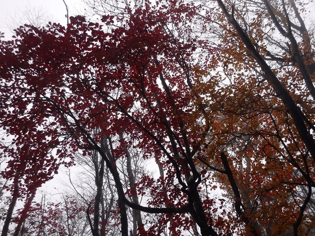 2016/10/30   小金沢山
