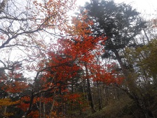 秋の大菩薩 2019/10/28 10:06:49
