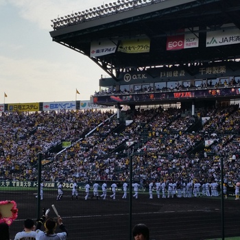 今季　自身甲子園2連勝！