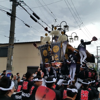 久米田池　世界灌漑施設遺産登録記念　お祝い曳行