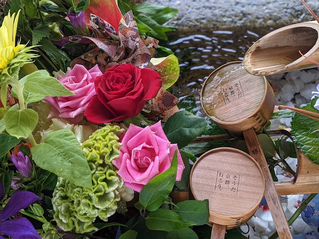京都苔寺巡り 京都苔寺巡り