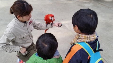 神戸動物王国2月7日