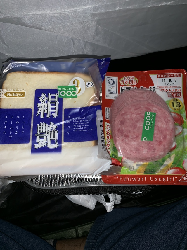 デイズルークスでの最後のキャンプ[本編]