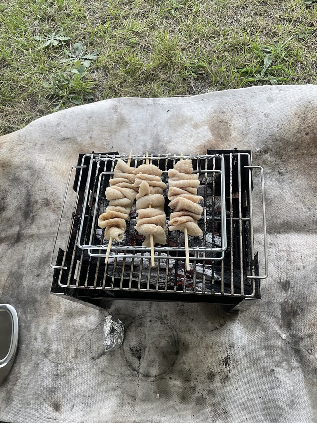 夏の初エルム