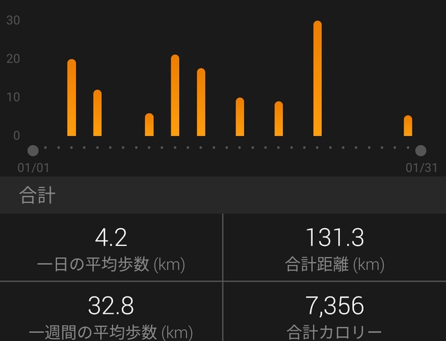 １月のトータル