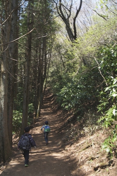 筑波山