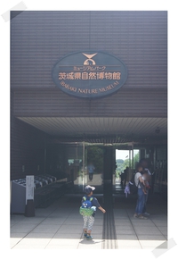 ミュージアムパーク茨城県自然博物館 2016/06/12 11:50:46